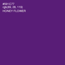 #591C77 - Honey Flower Color Image